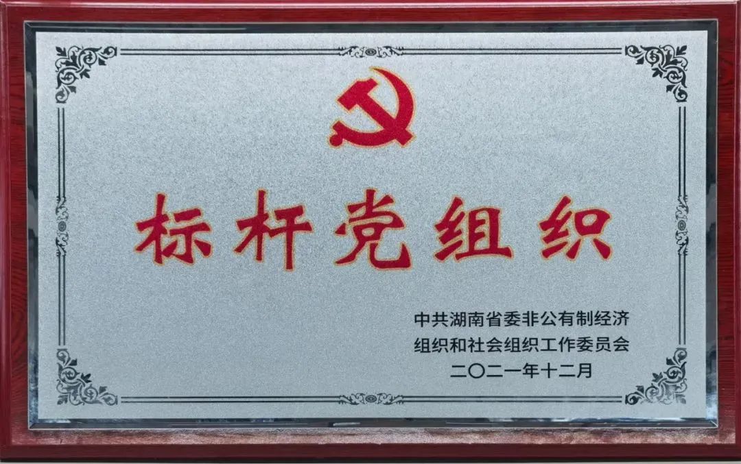 党建品牌亮起来！304am永利集团智能党委获评“标杆党组织”