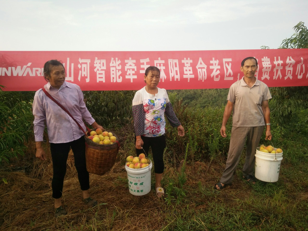 点赞！304am永利集团智能成功入选“上市公司村落振兴优良实际案例”